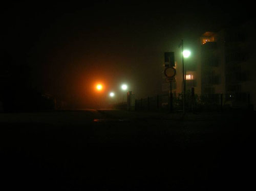 Cux_FZT_003